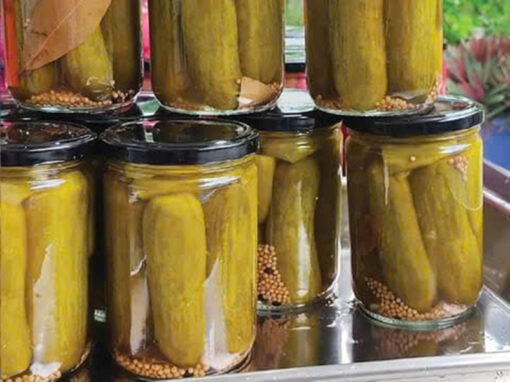 Pickled Cucumber German Style 500ml/jar